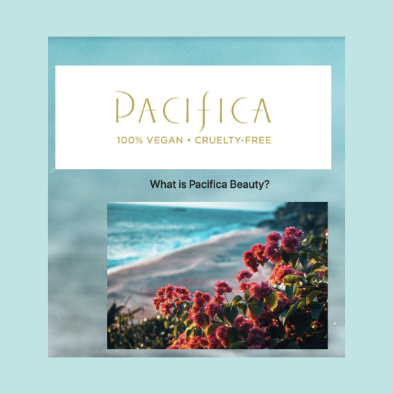 Pacifica Project Preview