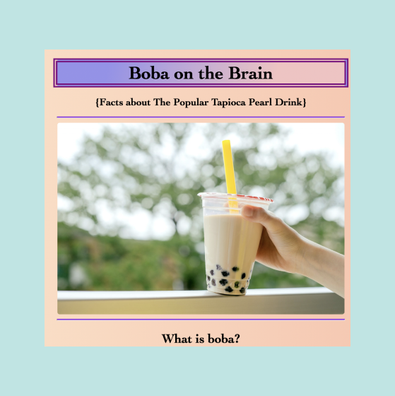 Boba Project Preview